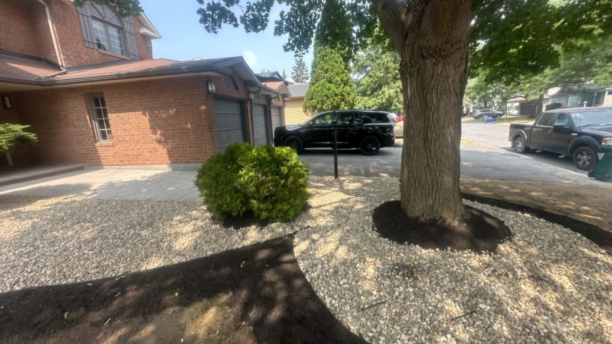 Front-yard paver drive alongside a river-rock bed and mulched tree rings